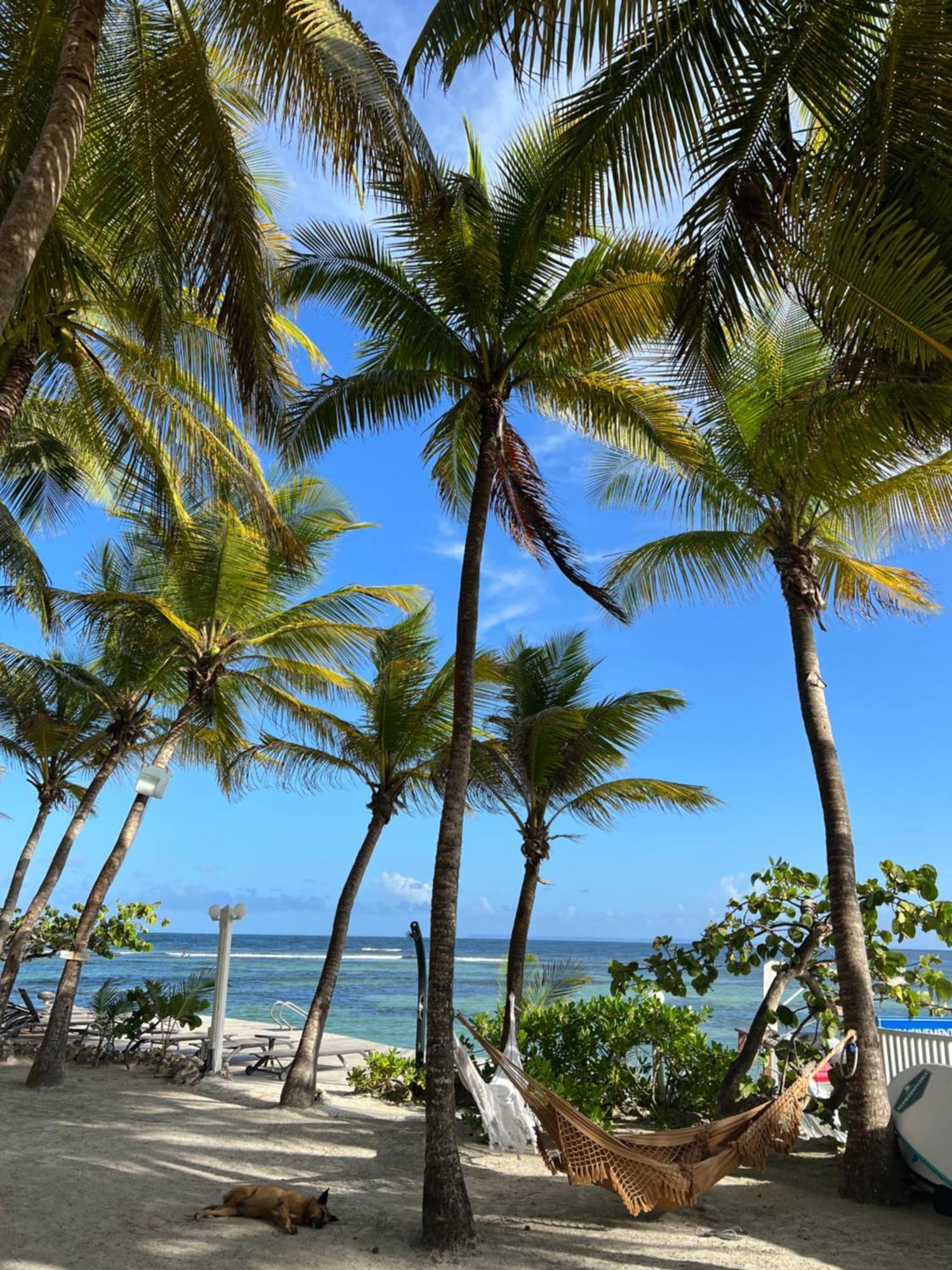 Guadeloupe- Saint-Francois- Residence Anse Des Rochers - Appartement Quart De Villa Etage - Vue Mer- 4 Personnes - Lit Bebe Sur Demande - Citerne Et Wifi Prives -Animaux Ok-Acces Plage Direct -Apnee Bien-Etre Experience Sur Demande Avec Instructeur A ภายนอก รูปภาพ