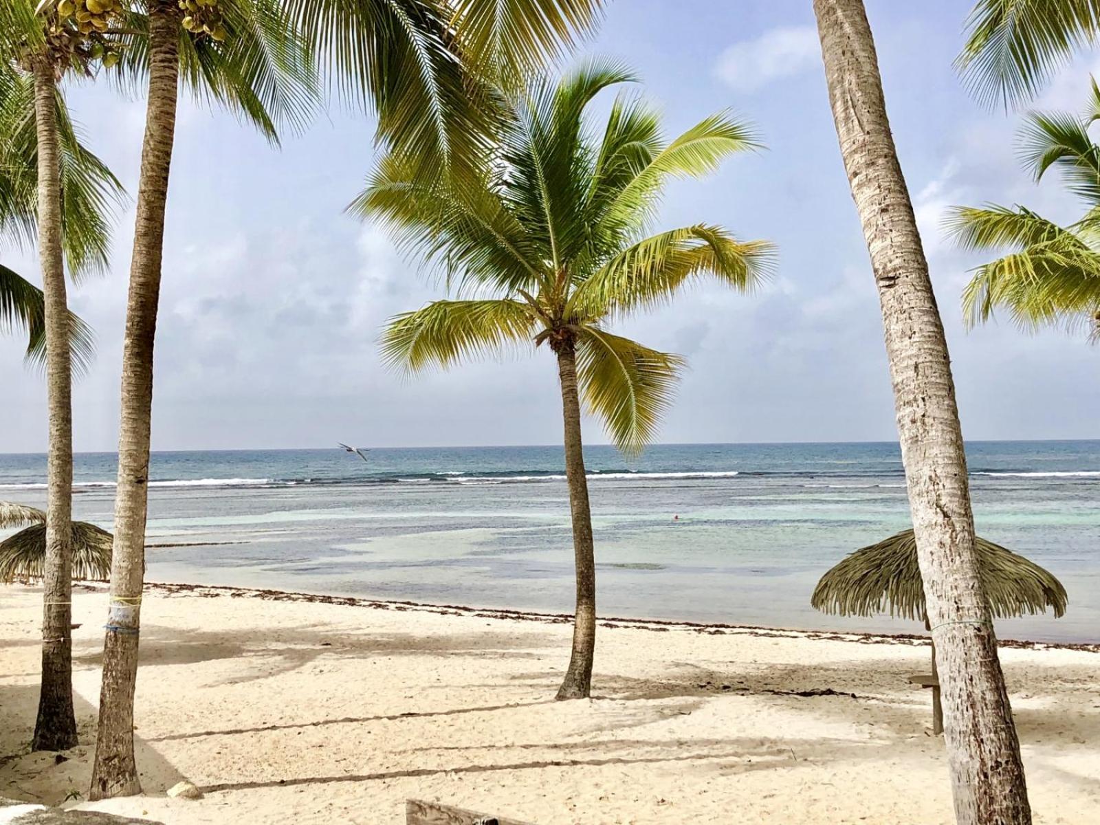 Guadeloupe- Saint-Francois- Residence Anse Des Rochers - Appartement Quart De Villa Etage - Vue Mer- 4 Personnes - Lit Bebe Sur Demande - Citerne Et Wifi Prives -Animaux Ok-Acces Plage Direct -Apnee Bien-Etre Experience Sur Demande Avec Instructeur A ภายนอก รูปภาพ